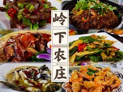 -岭下农庄·农家菜·野生大头鱼·公司团建(福永凤凰山店)
