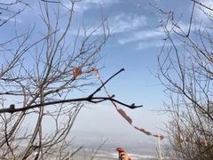 -阳台山自然风景区