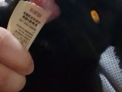 -宠爱国际动物医院·消化内科·心肾内科·ISFM猫友好(望京店)