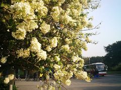 -四川大学(望江校区)