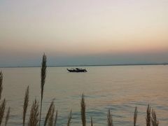 -芒洲湿地公园