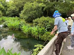 -杭州龙井幼儿园