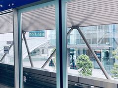 -台场海滨公园船码头