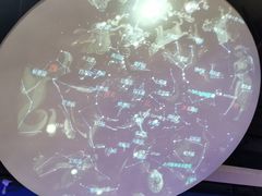 -苏州青少年科技馆