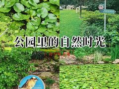 -苏州河梦清园环保主题公园