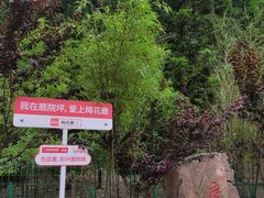 -鹿院坪生态旅游景区