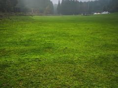 -武陵山森林公园