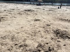 -滨湖塘西河公园