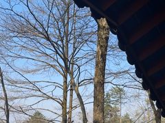 -九华山风景区月身宝殿