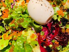 -Hatsune隐泉日式料理(三里屯太古里店)