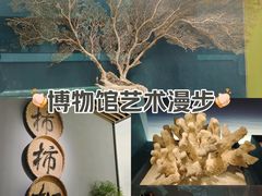 -中国湿地博物馆