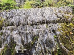 -梭布垭石林景区