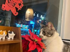 -echoes coffee回响咖啡(888街店)