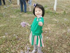 -永定河休闲森林公园