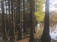 -东湖落雁景区