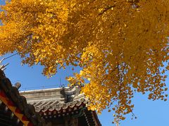 -承恩寺