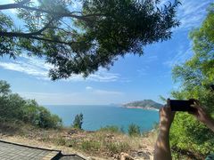 -广东惠东海龟国家级自然保护区