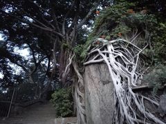 -鸿山公园