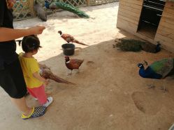 -萌宠亲子动物乐园(槐房万达店)