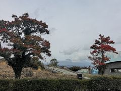 -爱来魔相4D艺术馆(济州中文馆)