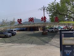 -望湖烤鱼