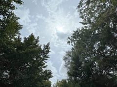 -长白岛森林公园