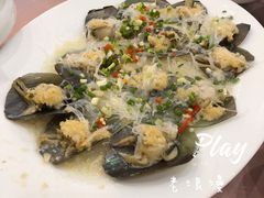 -宝华海景大酒店·望绿苑