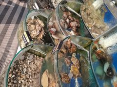 -京秀缘蒸汽海鲜农家菜大馅蒸饺