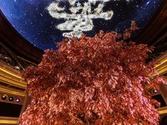 -永利澳门酒店