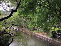 -苏州吴宫泛太平洋酒店