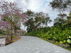 -深圳湾公园(南山区)