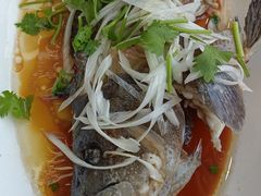 -日照大牌檔•小船海鲜(万平口店)