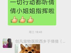 -创凡宠物医院·骨专科  猫科中心(西乡分院)