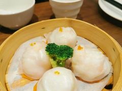 -榕树下海鲜楼(开元店)