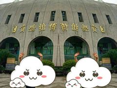 -自贡恐龙博物馆