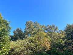 -终南山古楼观历史文化景区