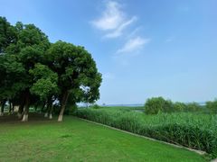 -苏州太湖国际会议中心