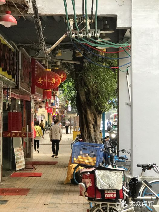 鸽王世家(东华东路店)图片