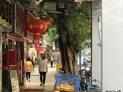 -鸽王世家(东华东路店)