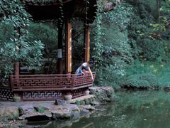 -杭州植物园