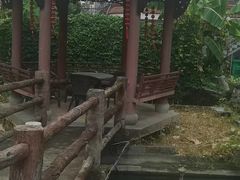 -阳光阿莲养生馆(城店路店)