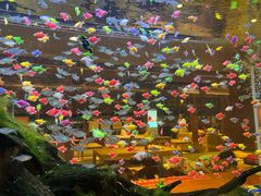 -大江户·温泉洗浴(浑南店)