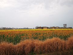 -中国天府农业博览园