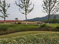 -径山花海