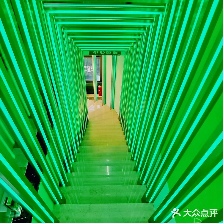 这是个绿色森林