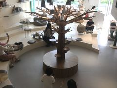 -飞行喵MR PILOT|猫舍·猫咖(静安大融城店)