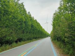 -黄海国家森林公园