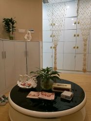 -紫琪尔国际丰胸美胸机构