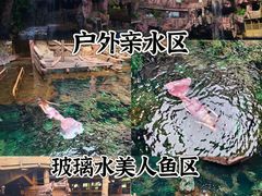 -长鹿旅游休博园