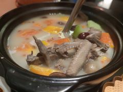 -羽鸽集·乳鸽专门店·地道顺德菜(岭南站店)